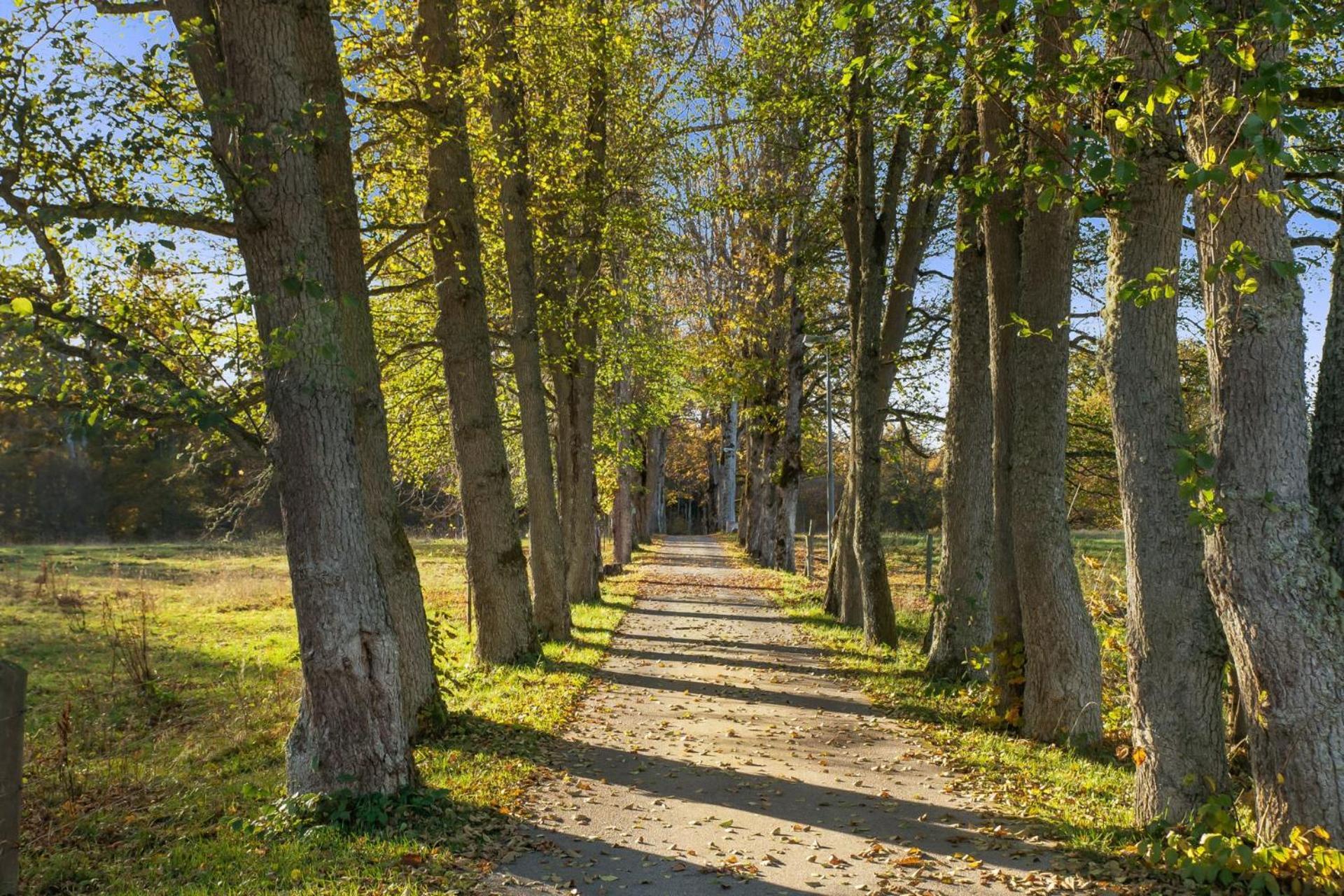 Grimsnas Herrgard Ljuder (Kronoberg) Экстерьер фото