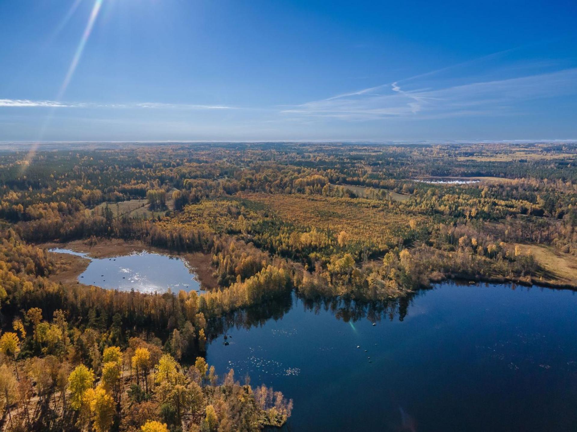 Grimsnas Herrgard Ljuder (Kronoberg) Экстерьер фото
